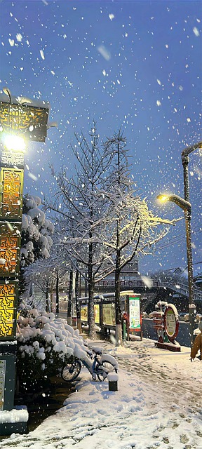 Free Winter Snow ai generated image and illustration