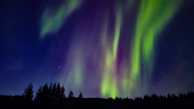 Free Nature Night photo and picture