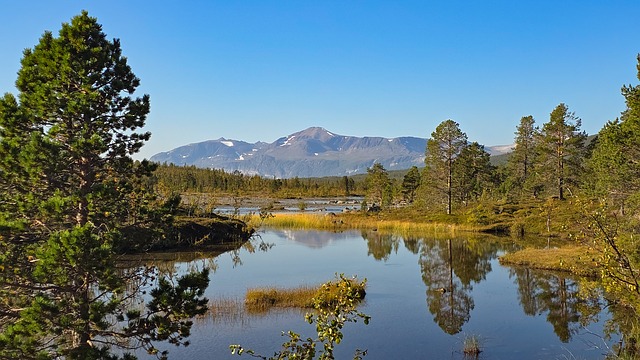 Free Norway Nature photo and picture