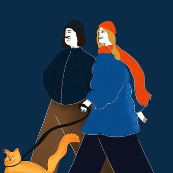 Кошка, Оранжевый Кот, Ночь, Ходить