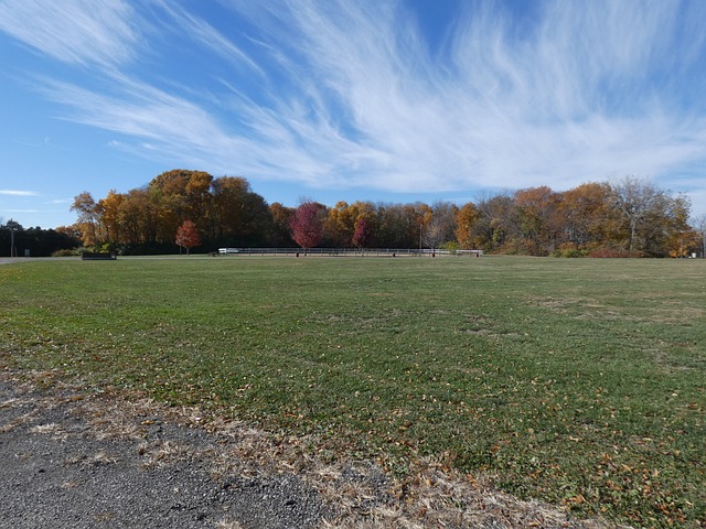 Free Autumn Autum photo and picture