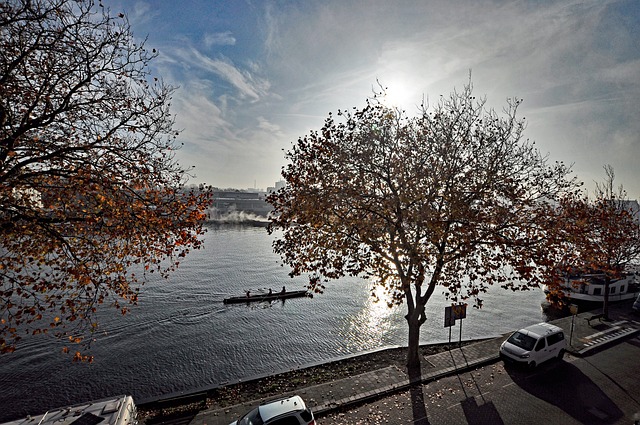 Free River The Zaan photo and picture