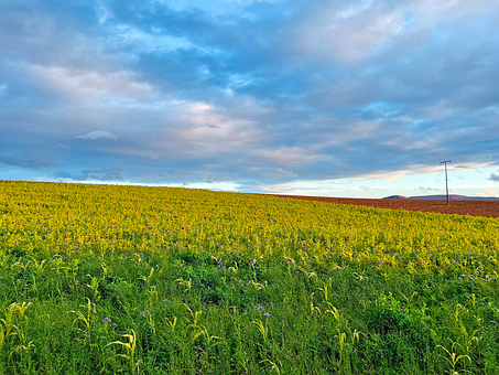 Free Autumn Field Heaven photo and picture