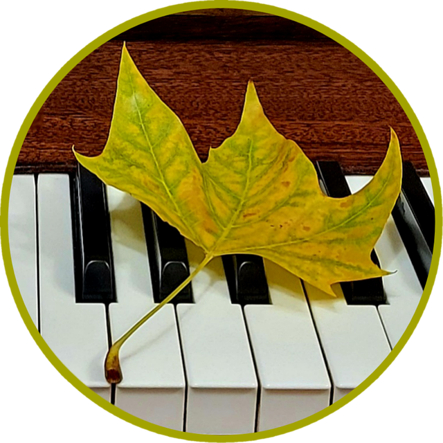 Free Autumn Autumn Leaf photo and picture