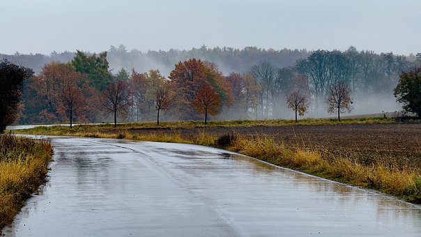 Straße, Weg, Regen, Nass, Feld