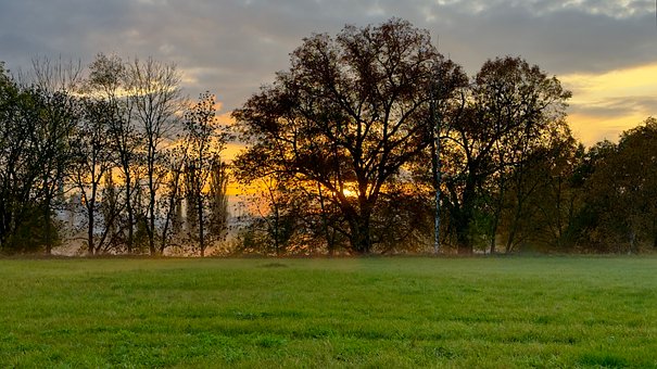 Natur, Stadt, Baum, Licht, Sonne, Westen