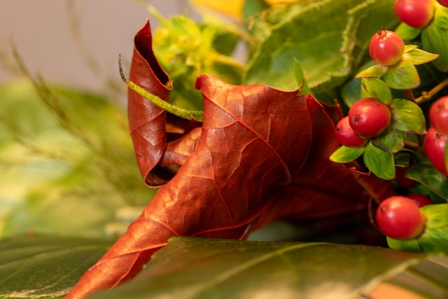 Herbst, Natur, Blätter, Herbstlaub, Laub