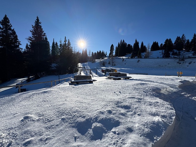 Free Winter Snow photo and picture