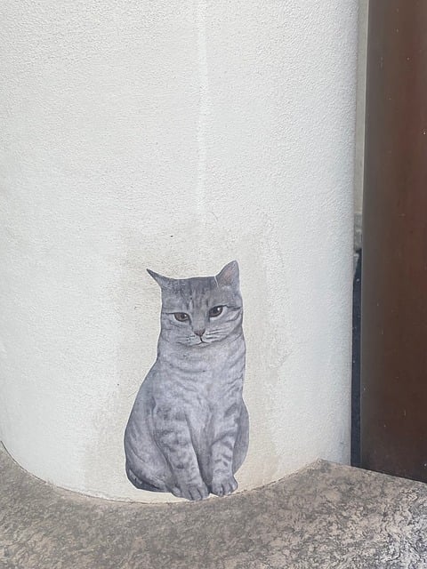 Autocolant, Pisică Gri, Artă Stradală