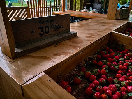 Free Healthy Strawberry photo and picture