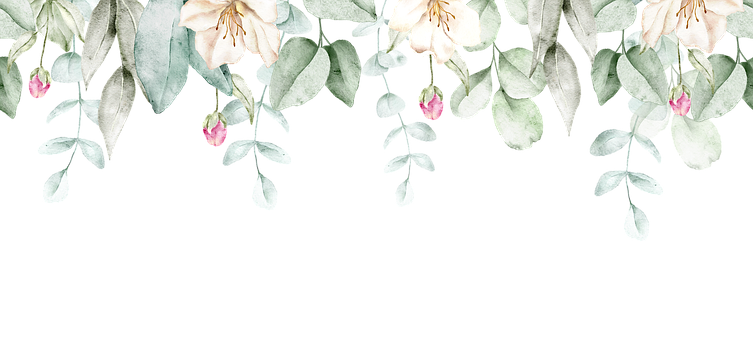Grænse, Blomster, Feminin, Blomst, Bud