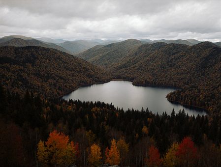 Herbst, Natur, Wald, Bäume, See