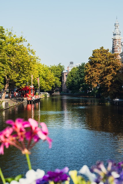 Amsterdam, Tok, Voda, Květ, Léto