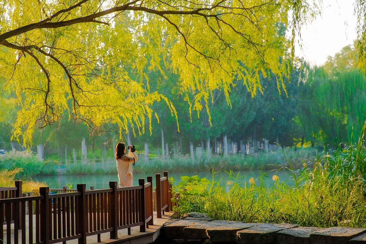 Autumn - free online jigsaw puzzle photo
