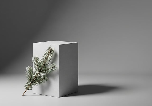 Free christmas spruce fir branch illustration
