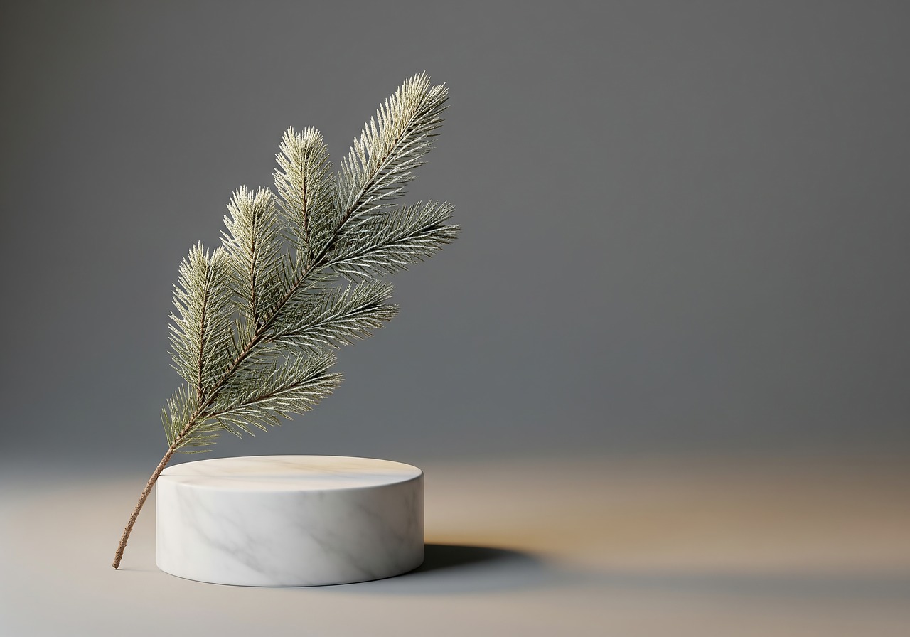 Download free HD stock image of Christmas Winter Free christmas winter podium illustration