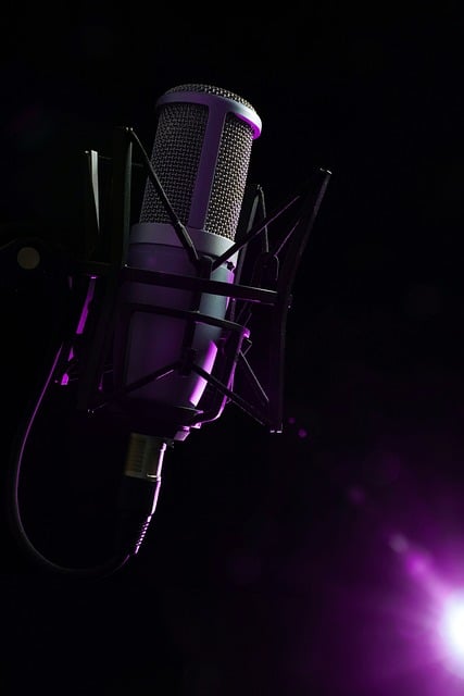 Free Microphone Podcast photo and picture