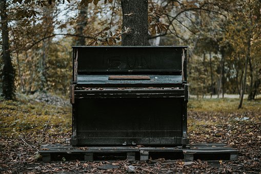 Free Piano Tree photo and picture