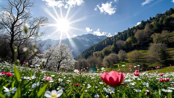 Free Spring Landscape photo and picture