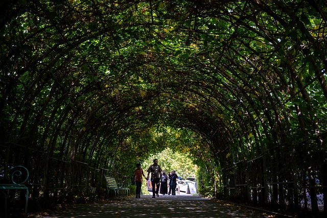 Free Tunnel Leaf Arch photo and picture
