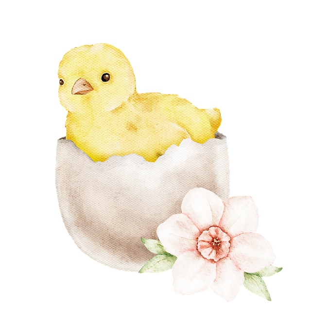 Download free HD stock image of Chick Egg Free chick egg easter illustration