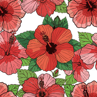 Blomster, Natur, Standardisere, Blomst