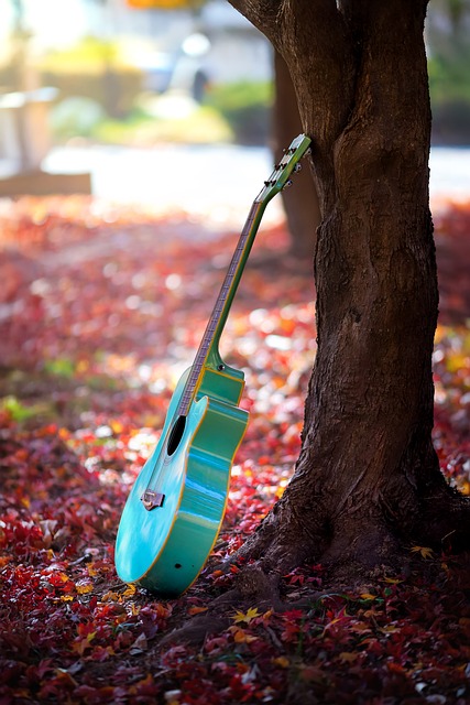 Free Quitar Autumn photo and picture