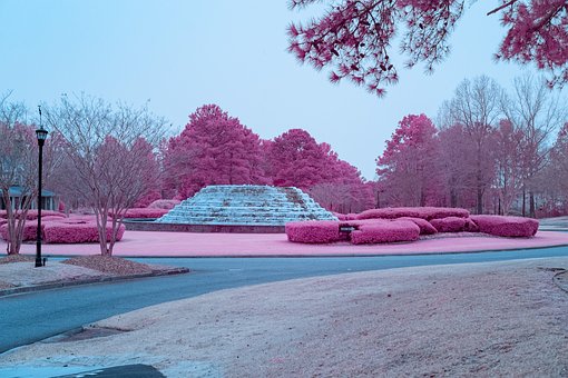 Free Infrared Photography 550Nm photo and picture