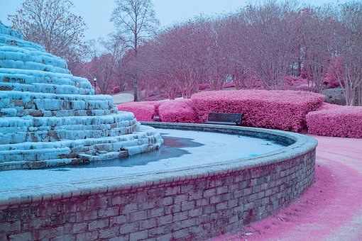 Free Infrared Photography 550Nm photo and picture