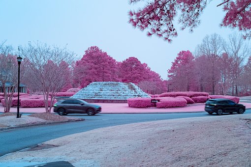 Free Infrared Photography 550Nm photo and picture