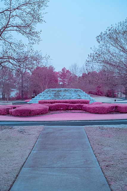 Free Infrared Photography 550Nm photo and picture