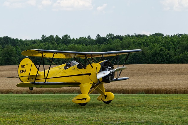 Avión, Biplano, Vintage, Amarillo, Campo