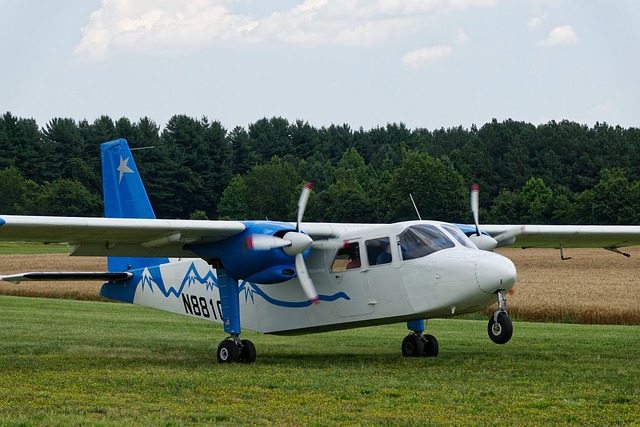Avión, Hélice, Bosque, Césped