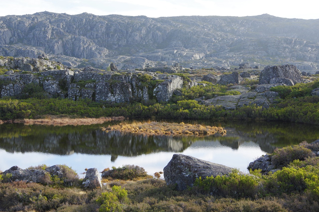 Lake - free online jigsaw puzzle photo