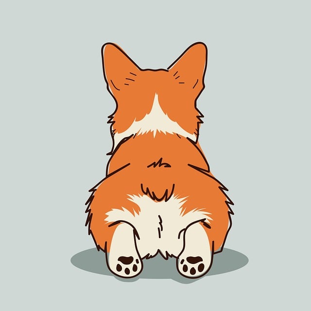 Free corgi drawing background illustration