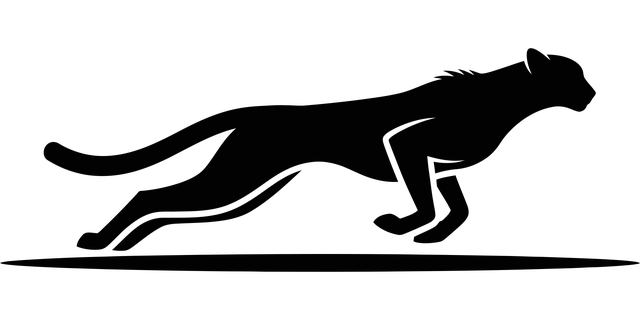 Free cheetah running sprinting vector
