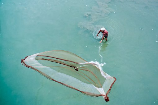 Fiskeri, Natur, Net, Udendørs, Flod