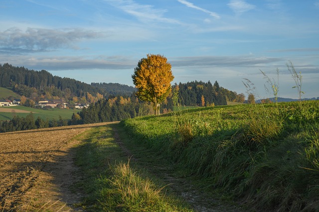 Free Landscape Autumn photo and picture