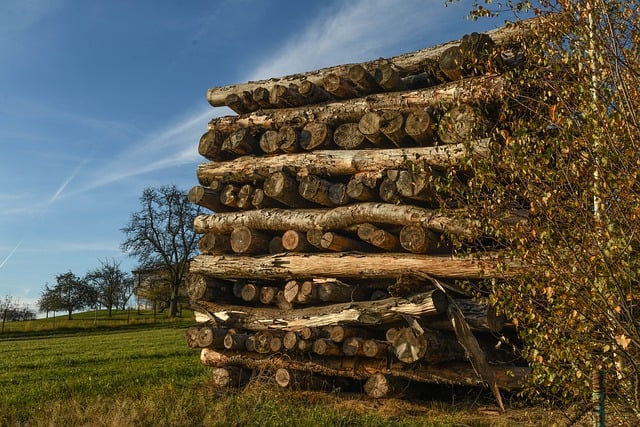 Free Wood Firewood photo and picture