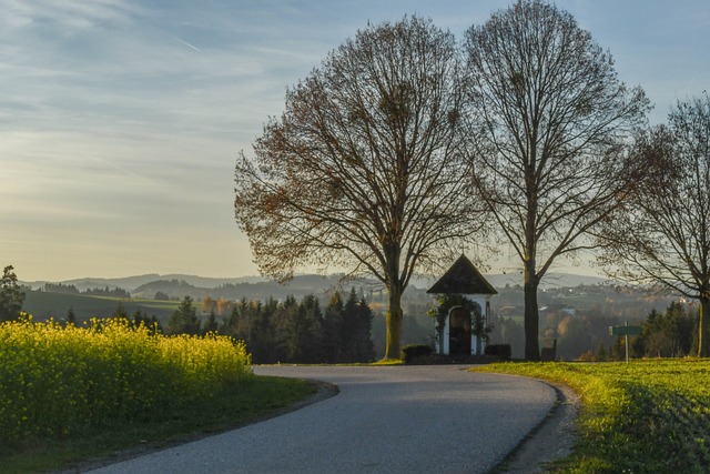Free Autumn Landscape photo and picture