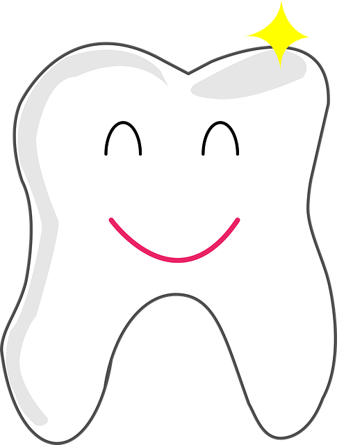 Free healthy shining teeth illustration