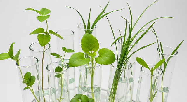 Free biotechnology plant research dna illustration