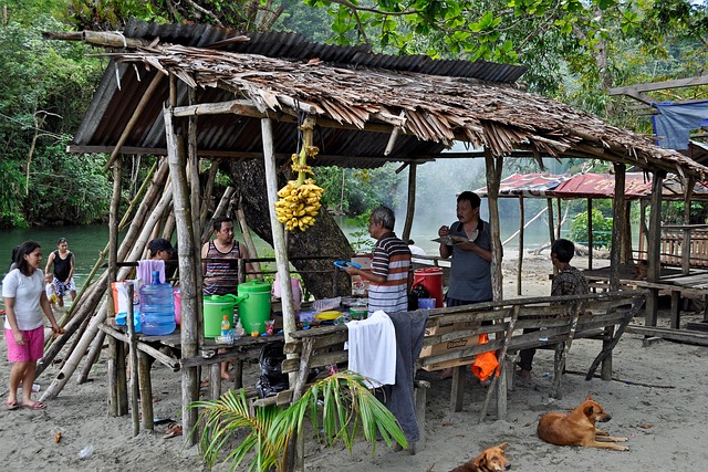 Free Papua Indonesia photo and picture