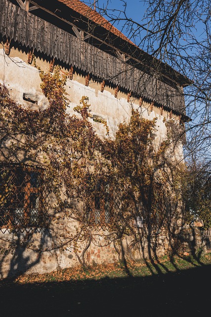 Free Cottage Countryside photo and picture