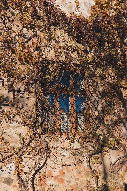 Free Cottage Countryside photo and picture
