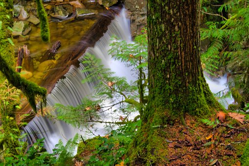 Cataratas De Ciprestes, Cachoeiras