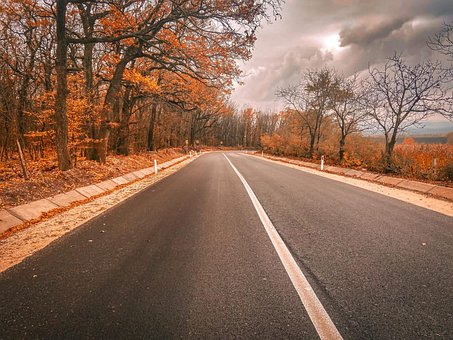 Herbst, Straße, Natur, Asphalt, Route