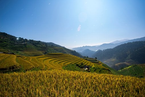 Vietnam, Mù Cang Chải, Terrassen, Berge