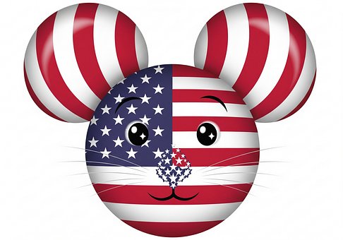 Usa, Flagg, Hamster, Ferie, Dyr, Feiring