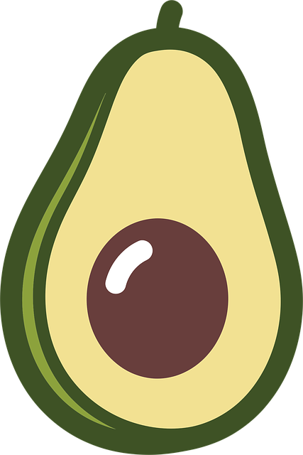 Free avocado fruit vegetable vector